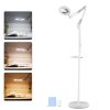 Magnifying Floor Lamp